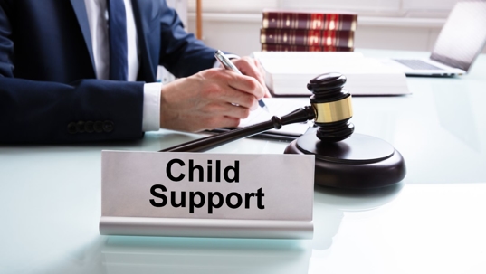 child support law